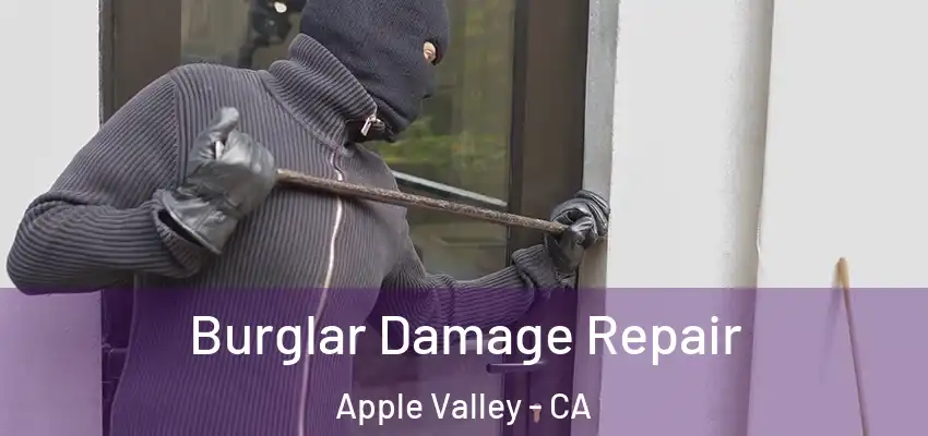  Burglar Damage Repair Apple Valley - CA