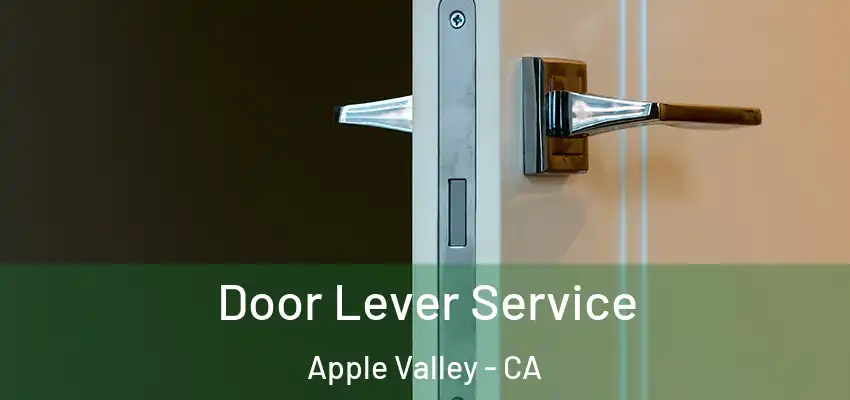  Door Lever Service Apple Valley - CA